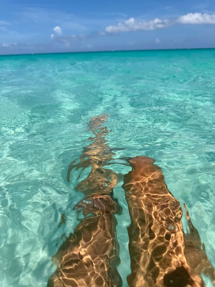 Beach holiday view