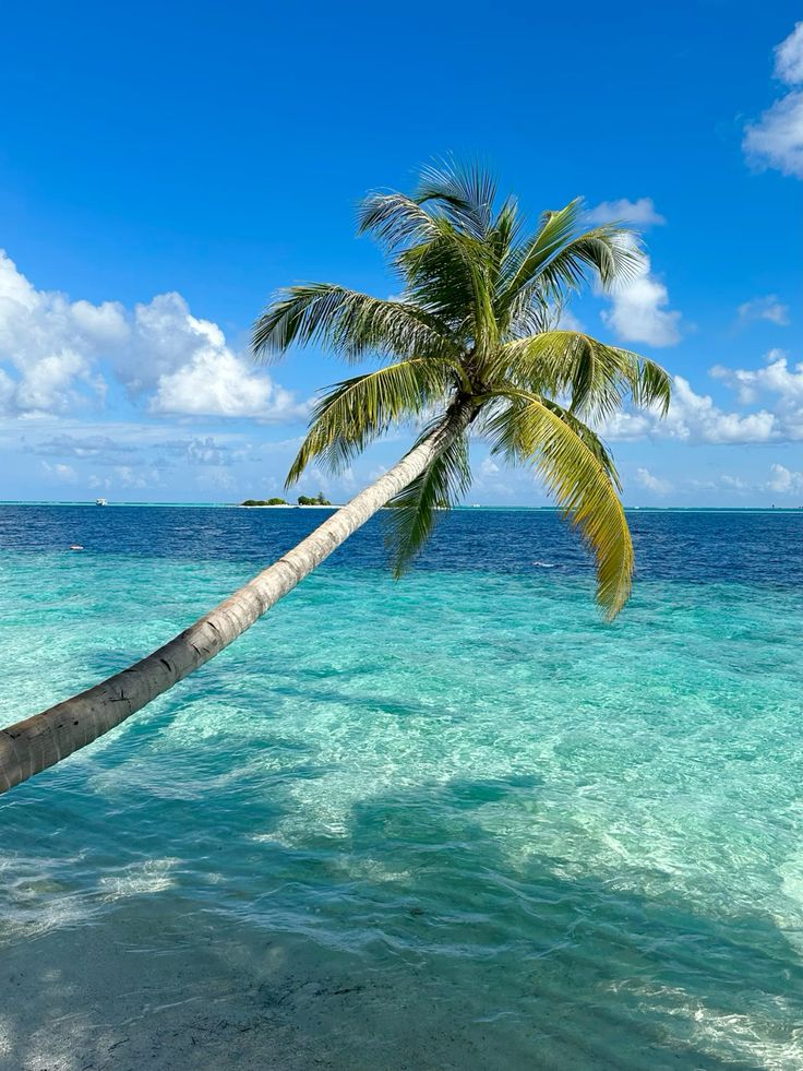 Beach holiday view