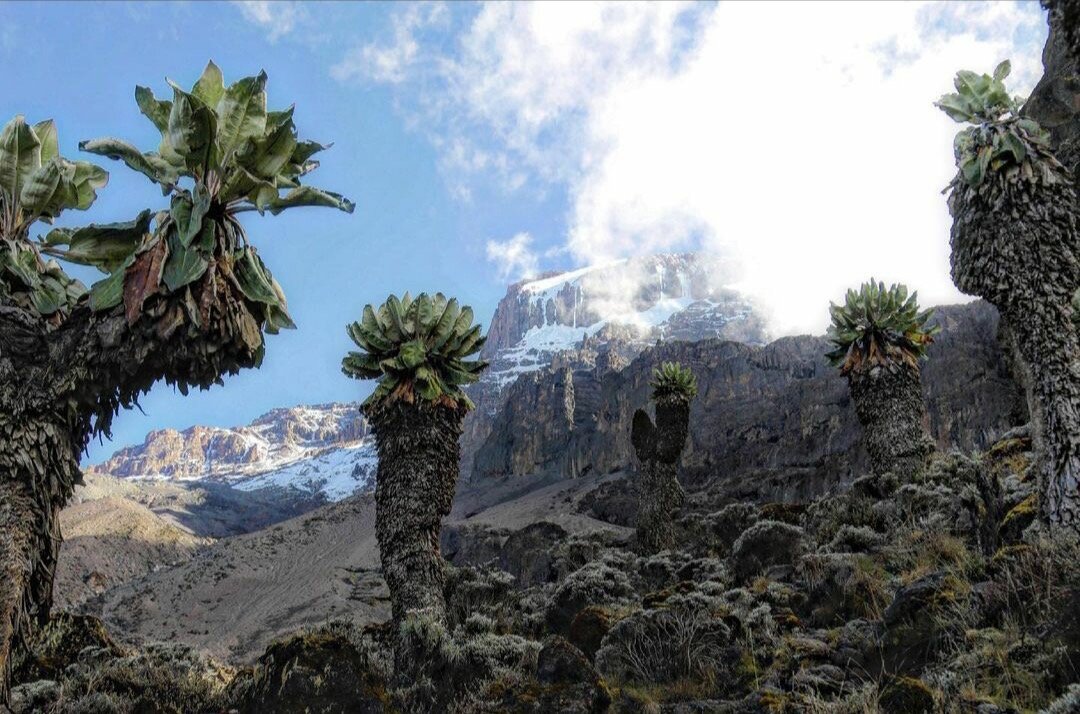 Mountain trekking camp photo
