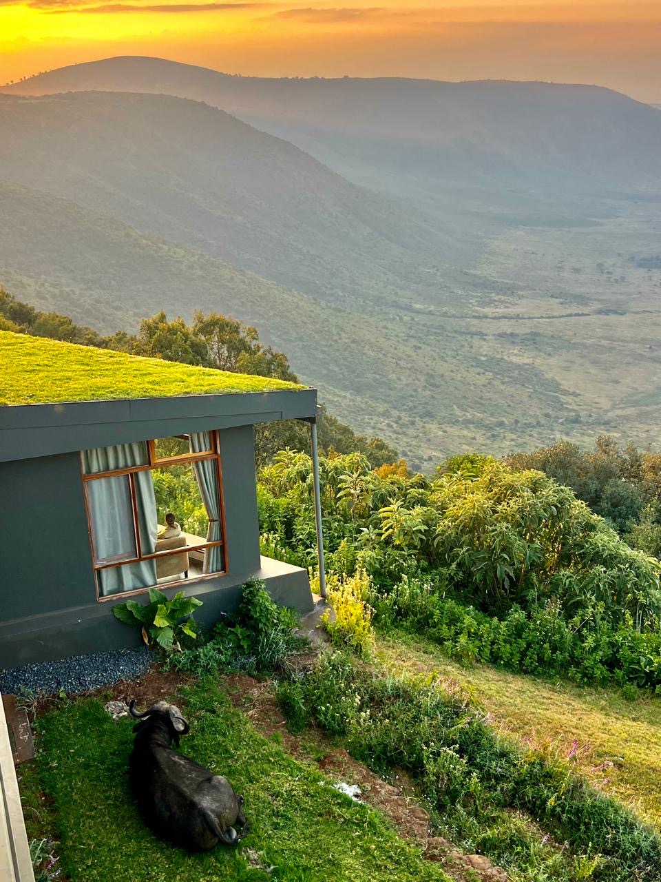 Mountain landscape photo
