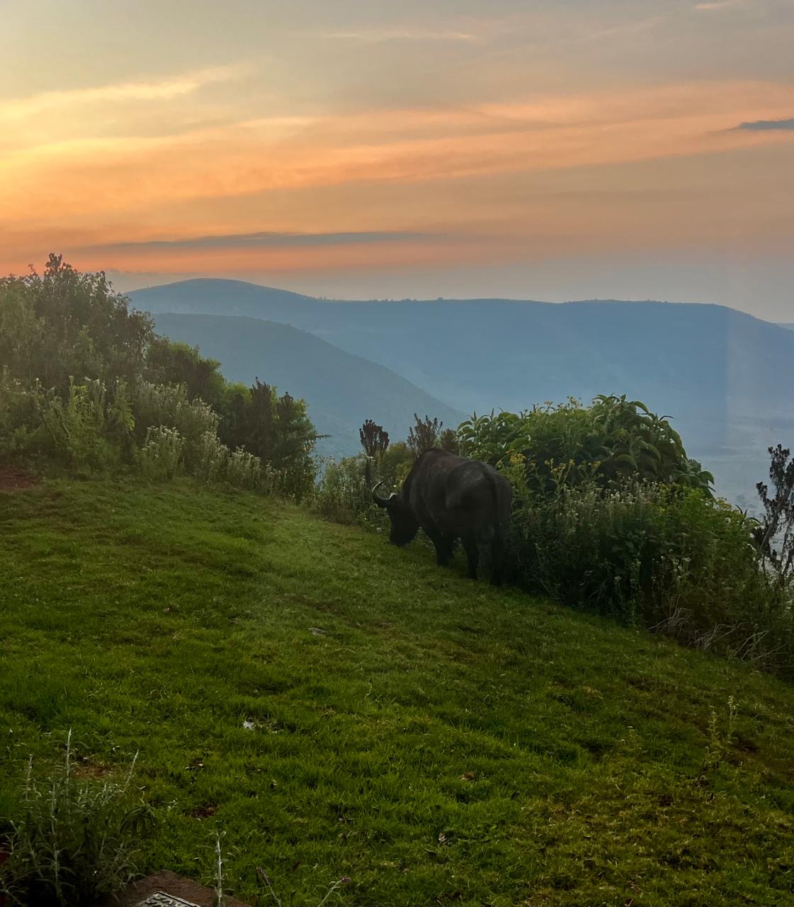 Mountain landscape photo
