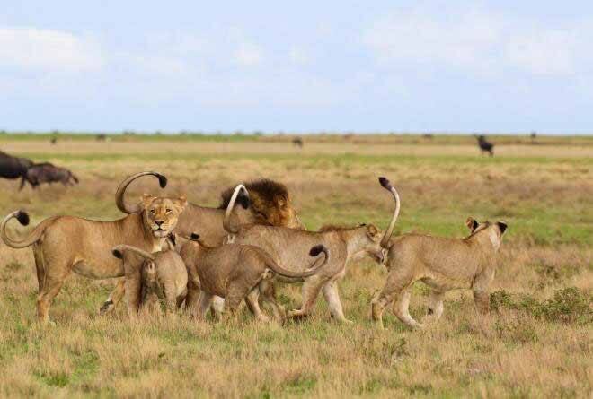 Kenya safari route