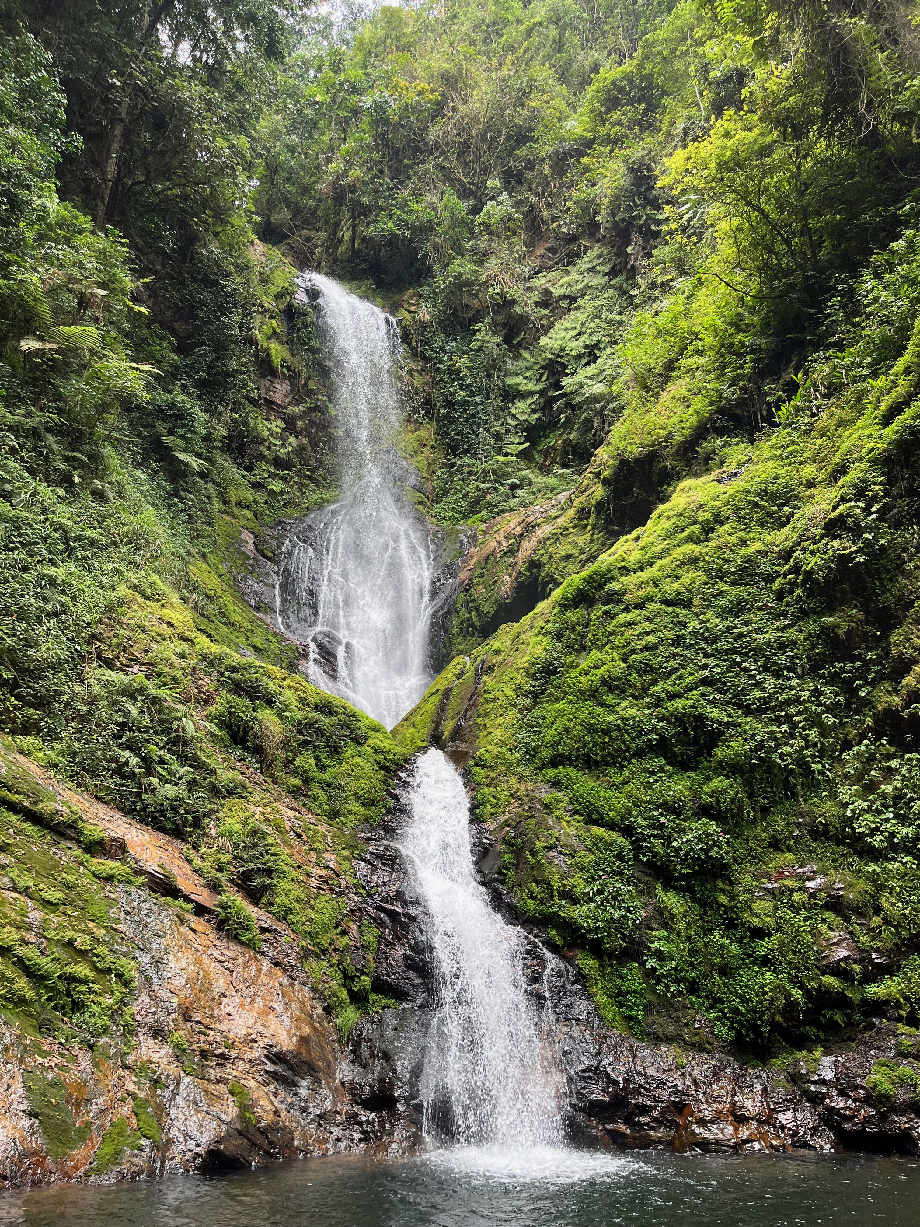 Nyungwe waterfall