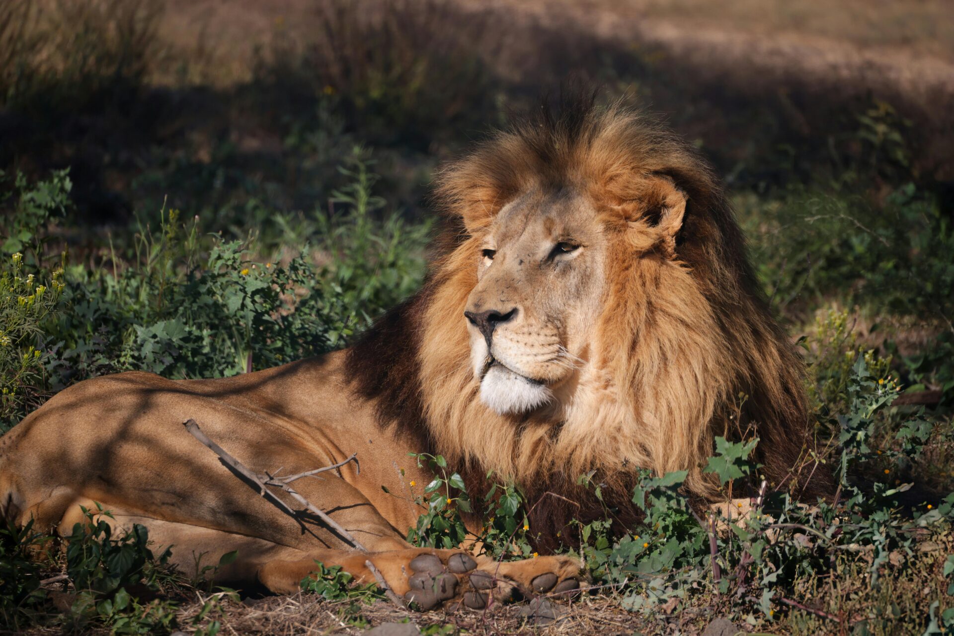 Rwanda travel route